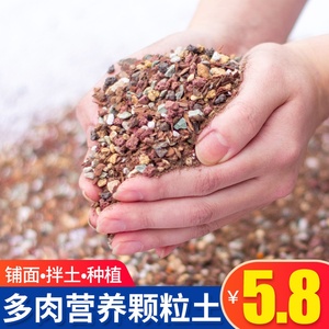速发船长多肉营土养专用颗粒土种植养花泥栽通用彩石盆炭花土壤铺