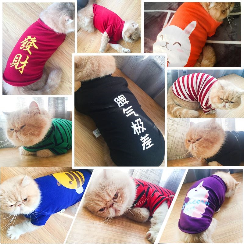 猫咪衣服夏季薄款 英短小猫可爱公主宠物猫夏Q天搞笑休闲透气背心