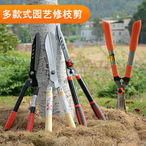 花木剪绿篱剪草坪剪园林修枝剪园艺大剪刀绿化粗枝果树枝修花工具