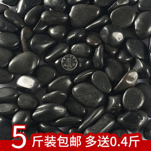 速发鹅卵石原石雨花石小石子鱼缸花软石院装饰园艺黑色庭头鹅盆石