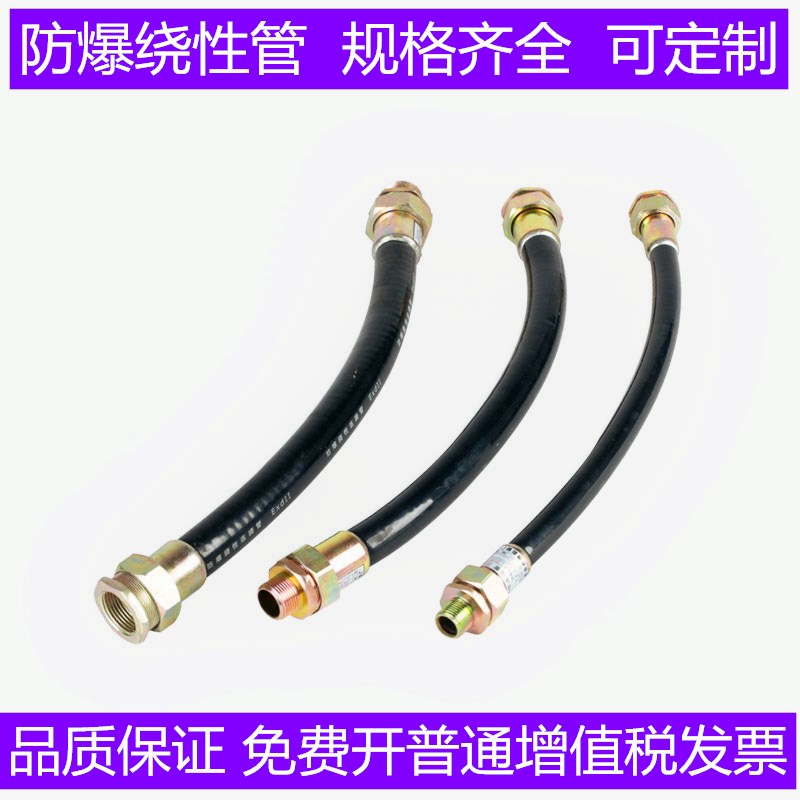 防爆挠性连接管不锈钢防爆管BNG-DN15/20/25金属防爆管软管4分6分