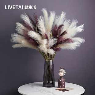 速发 花芦苇草假干花饰客厅落地摆件装花大花束摆设