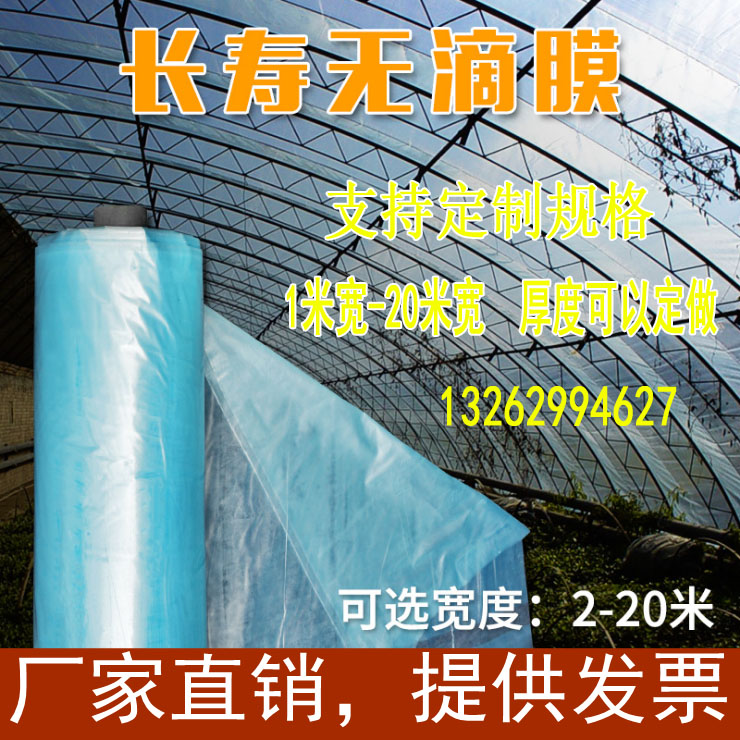 无滴大棚膜 长寿膜 蓝膜 农膜 抗老化膜 蔬菜葡萄大棚 整卷塑料膜