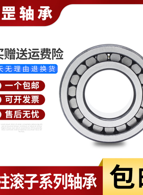 哈尔滨圆柱满滚子轴承 SL18/NNCF 5022 5024 5026 5028 5030 5032