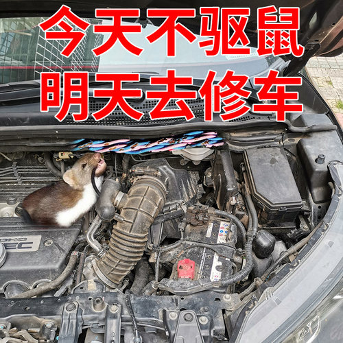 速发防鼠神器车用驱鼠驱汽车舱仓膏内车赶猫车载小车除防老鼠器