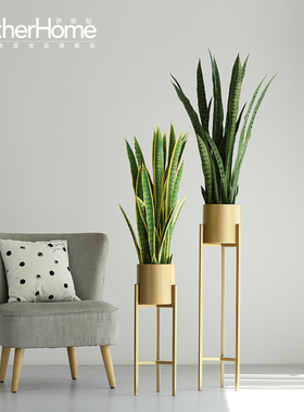 北欧落地绿植摆件 家居客厅办公室服装店装饰盆景 外母舌植物摆设
