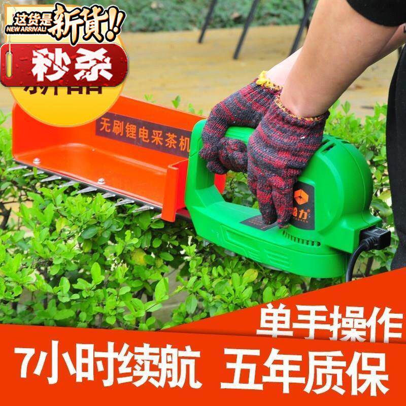 极速a 布袋电动采茶机小型自动单人拉桑启动浚阙袋袋子n绿篱机