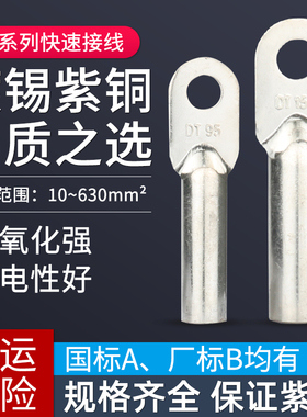 热销镀锡DT16/25/35/70/95/120/185/240/300平方铜鼻子接线端子铜