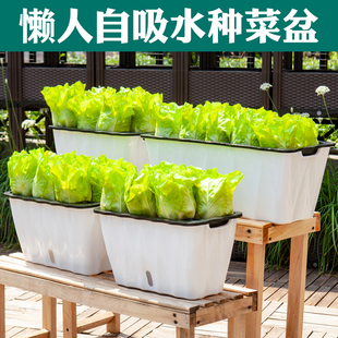 懒人吸水种菜盆长条方形花盆蔬菜种菜神器家庭阳台种植箱多肉养花