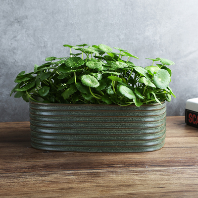 水培铜钱草碗莲水仙花盆陶瓷简约个性复古稳重盆大号器皿无孔