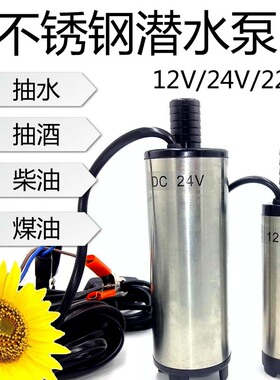 12V24V2g20V潜水泵不锈钢抽酒泵酒水柴油泵煤油泉小型泉水泵抖一
