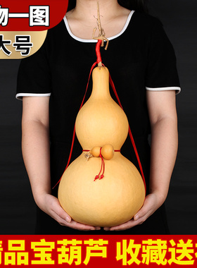 天然大葫芦挂件一物一图孤品葫芦摆件饰品家居带龙头客厅卧室装饰