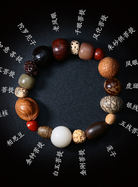 新品菩提子手串天然多宝珠原籽十八子文H玩配饰星月金刚佛珠手链