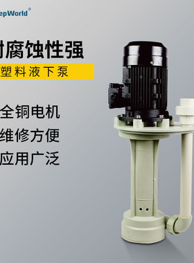 中盛联科FSY塑料液下泵立式耐酸碱电镀防腐蚀化工泵海水潜水泵