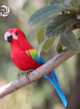 仿真羽毛鸟喜鹊鹦鹉黄鹂鸽子手工艺品树脂道具非活物动物假鸟摆件