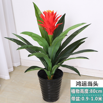 假花鸿运b当头仿真植物客厅落地盆栽 凤梨塑料花摆件 80cm高大盆