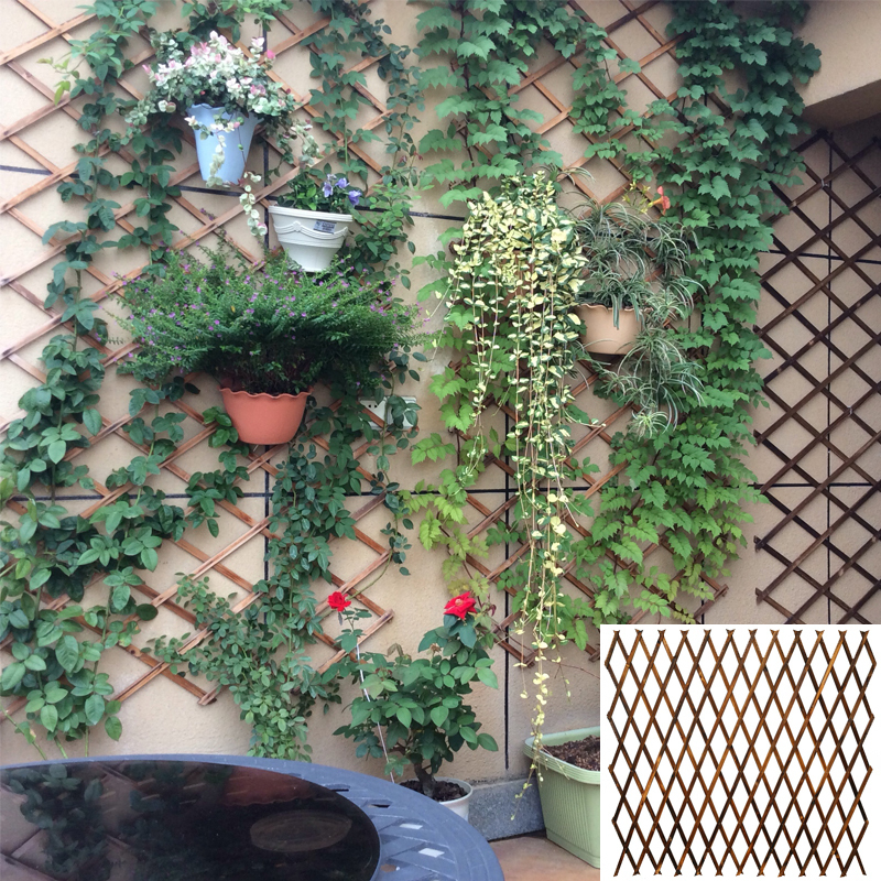 实木网格铁艺客厅挂墙花架壁挂墙上装饰阳L台墙壁绿萝悬挂式花盆