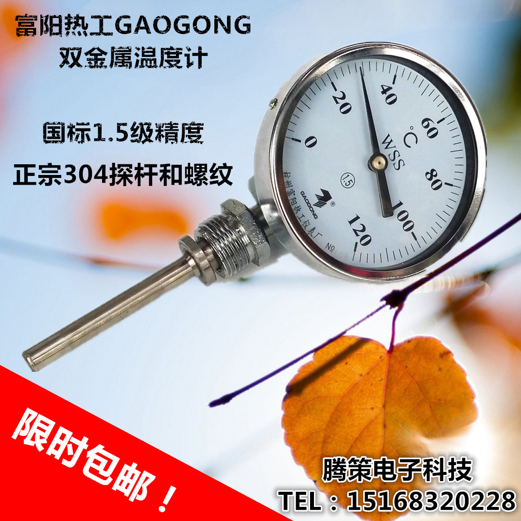杭州富阳热工WSS-411/41w2/413径向指针型双金属温度计锅炉管道型