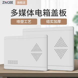 家用光纤网络箱多媒体弱电箱盖板电视电话弱点P箱面板不挡信息盖