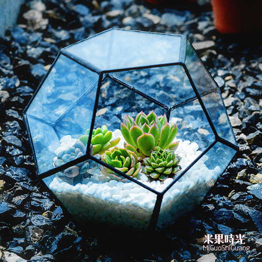 果永生花 多肉植物玻璃花房 微景观世界杯球花器 金属锡材花盆