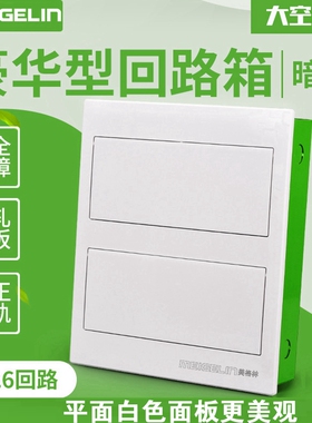 豪华型位双层强电箱 暗装-回路双排空开箱白色家装配电箱