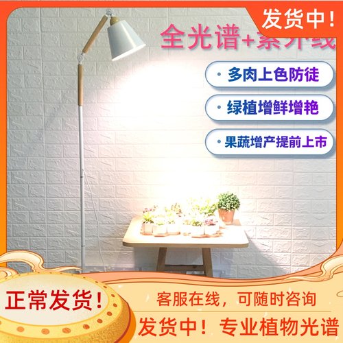 多肉植物补光灯仿太阳家用上色生长灯全光谱太阳灯多肉植物光照灯