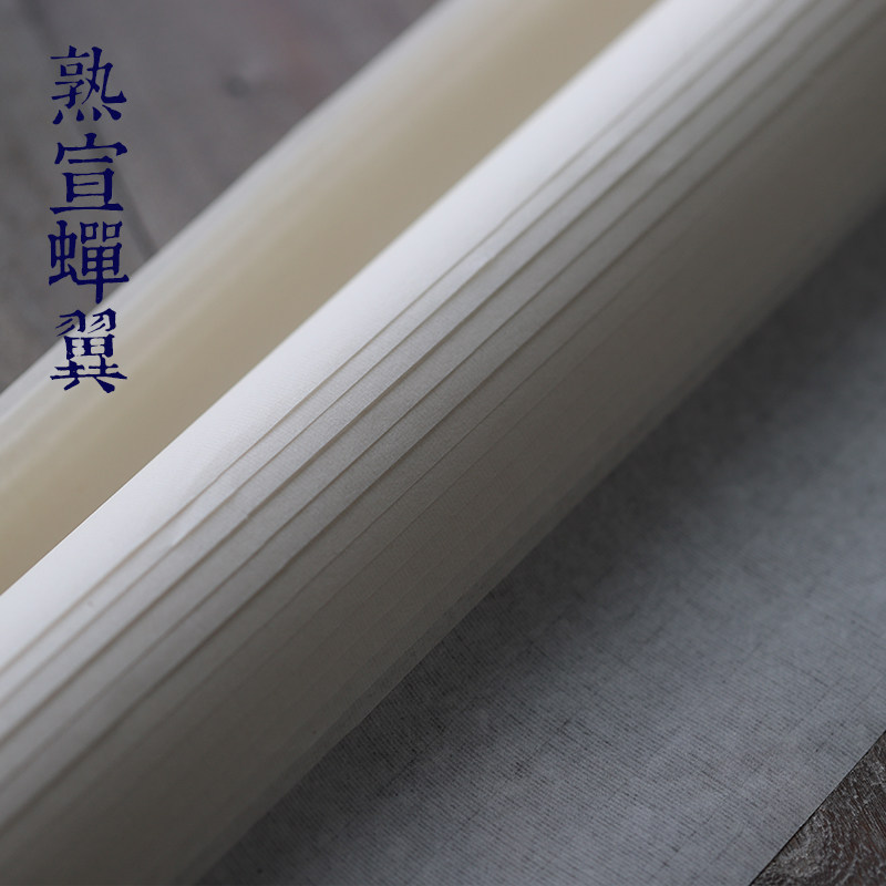 四尺熟宣纸蝉翼工笔画不洇墨清书画云母宣纸
