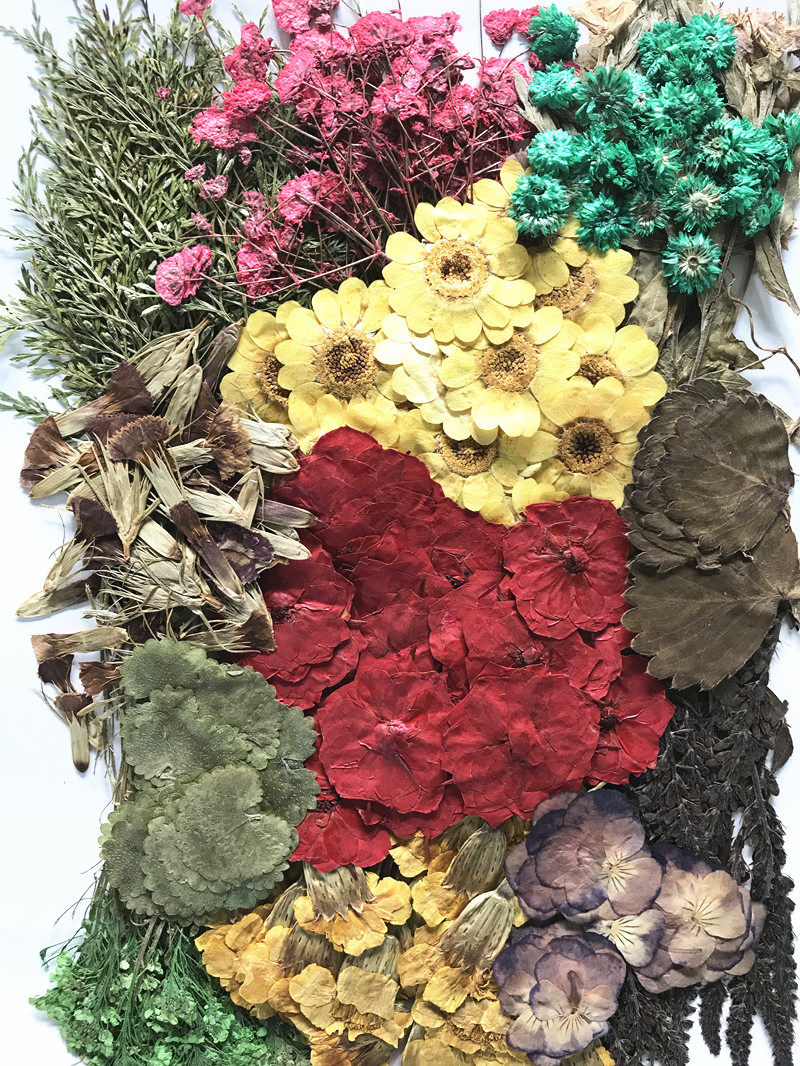 压花花材包朵 押花花材包 押花材 滴胶干花手工一件