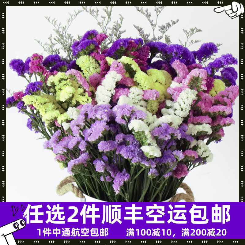 勿忘我干花花束满天星云南天然风干真花家居摆设客厅超大装饰混搭