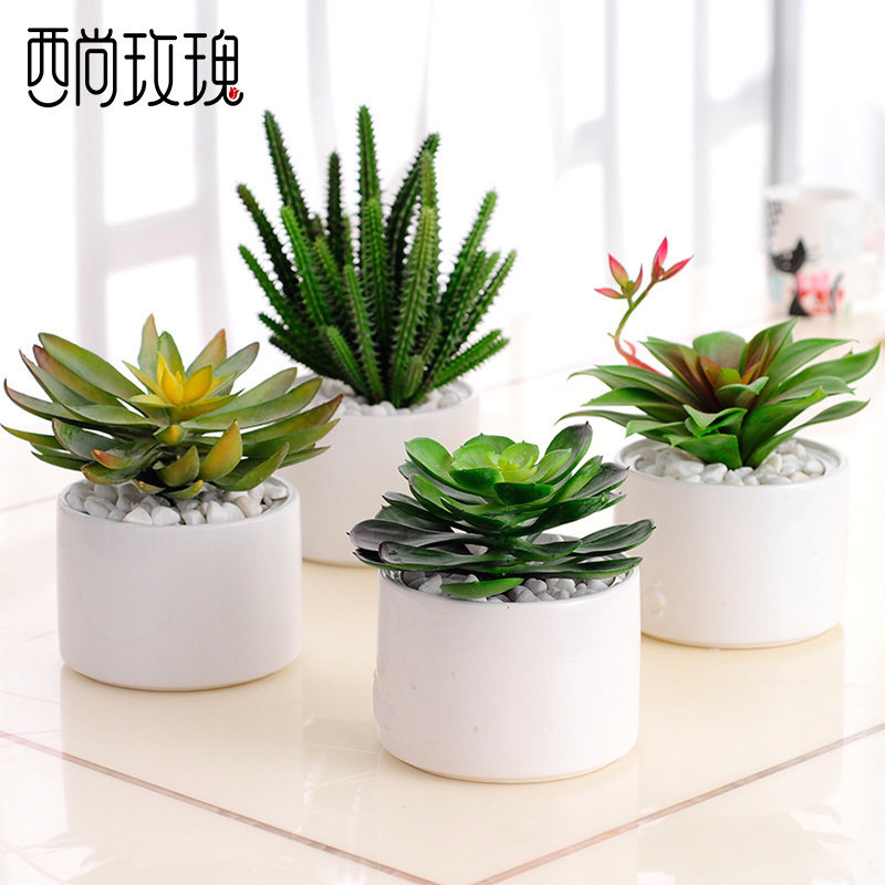 仿真多肉植物组合小盆景假花书桌绿植小盆栽窗台仙人掌装饰品摆件