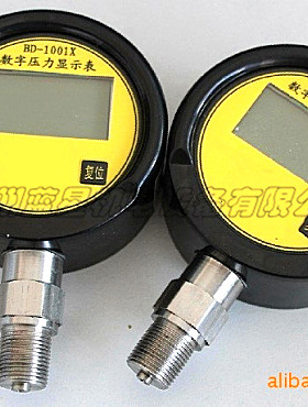 不锈钢数字压力表BD-1001KD-40(100/M20*1.5量程0~40MPa)