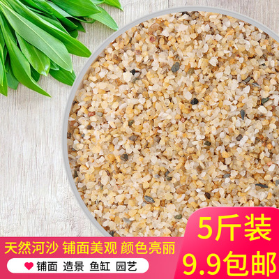 优质河沙水晶沙多肉盆栽铺面基质石头营养土石英沙子粗沙细沙养花