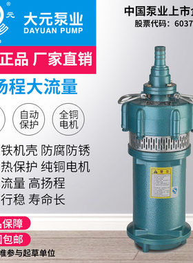 大元QD潜水泵多级小老鼠家用大流量农用灌溉高扬程单相220V喷泉泵