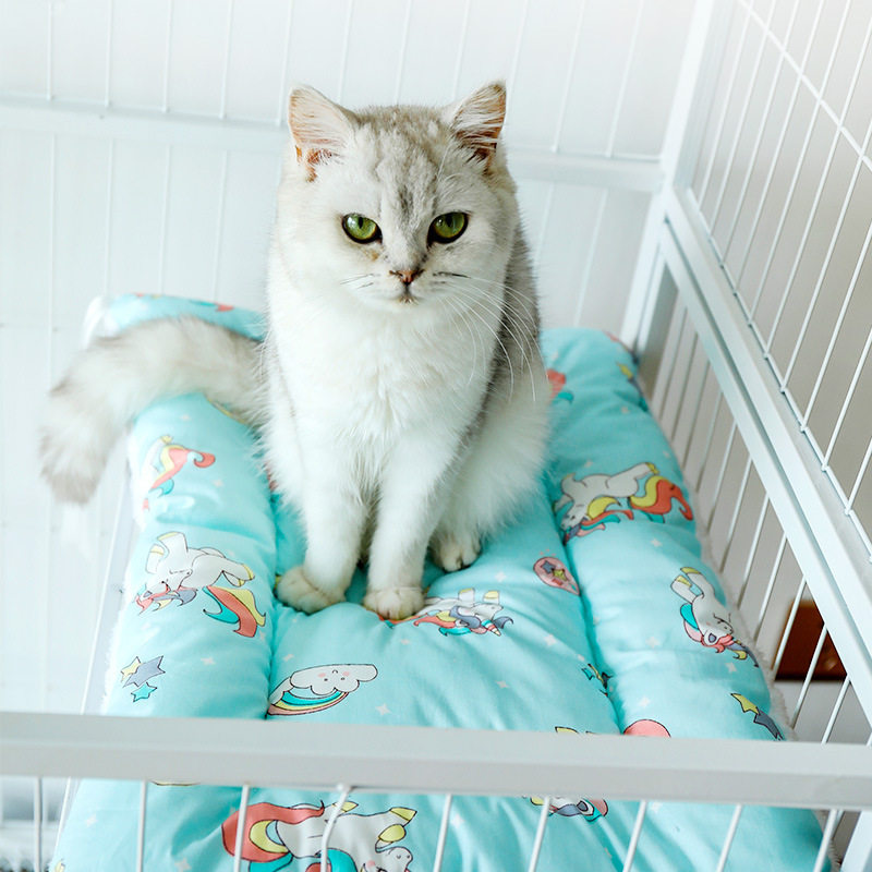 宠物床垫保暖猫垫子笼子里猫咪冬天睡觉狗狗睡毯毛毯猫笼平台棉垫,宠物/宠物食品及用品,猫狗垫子,淘宝优惠券,粉丝福利购,淘宝优惠卷