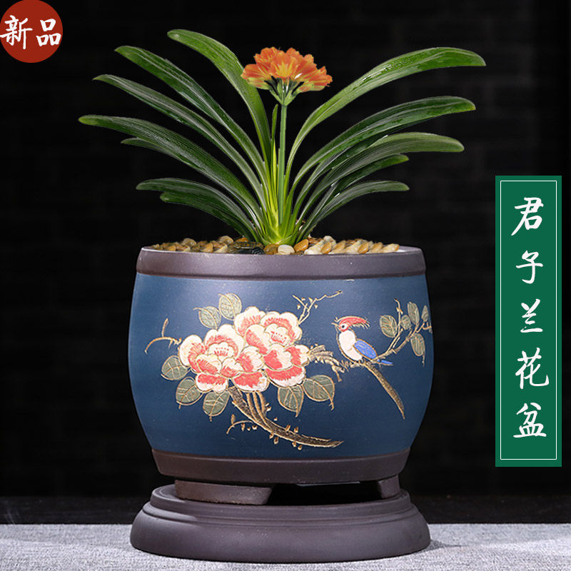 君子兰花盆家用室内花盆带托盘宜兴紫砂盆景盆桌面透气花盆清仓