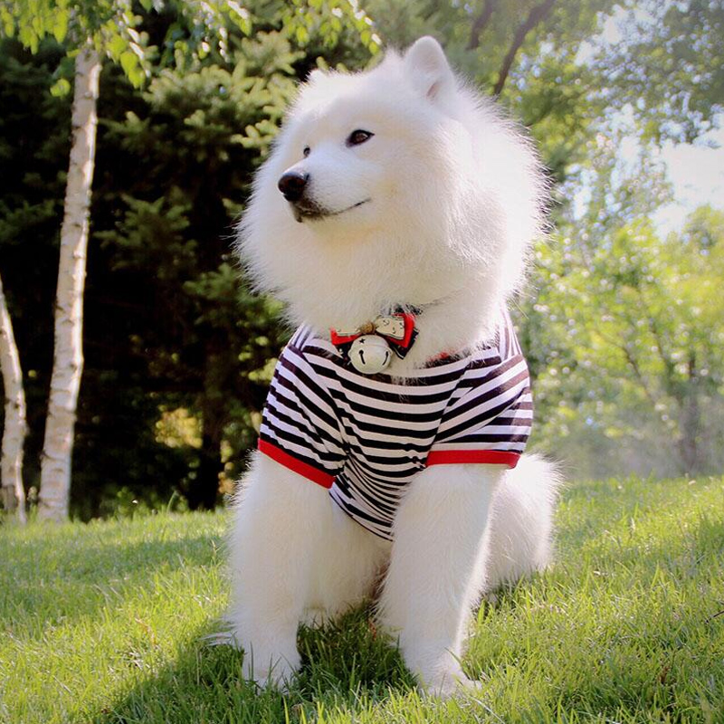 狗狗衣服夏装薄款幼犬大型犬大狗萨摩耶金毛边牧夏季狗背心中型犬