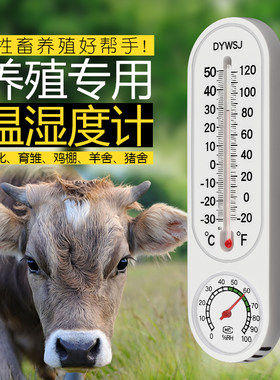 养殖温度计猪场鸡场专用壁挂式温湿度表干湿计大棚种植温湿度计