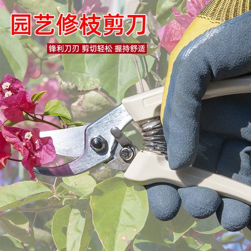 果树修枝剪园林园艺剪刀r剪枝剪树枝剪修剪花艺修花剪刀摘果剪葡