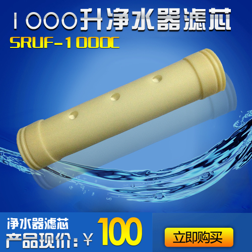 净水器滤芯终端直饮标准1000升滤芯家用厨房过滤饮水机超滤净水器