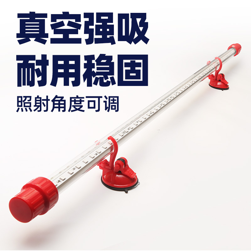 鱼缸吸盘卡扣真空专用固定器支架水族潜水灯卡管配件 T8T5NEC潜水
