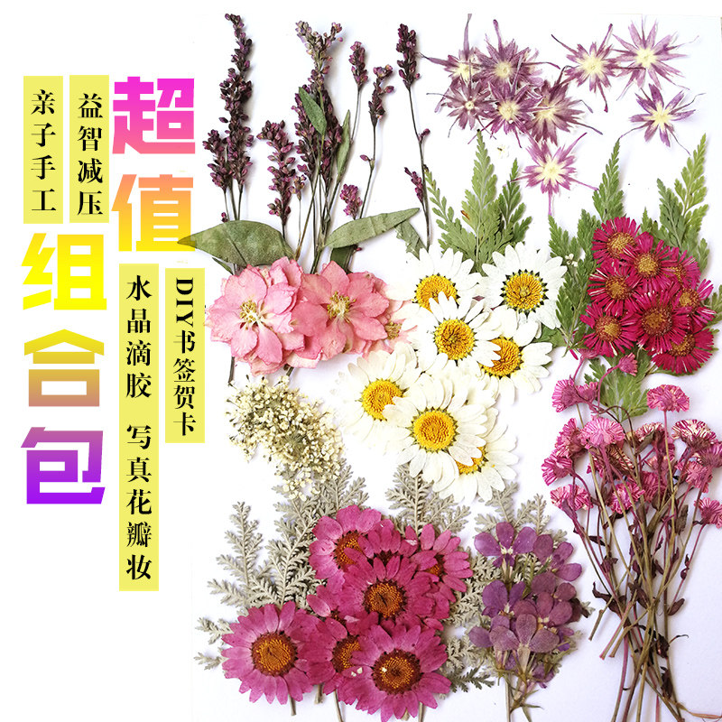 押花diy材料干花包真花滴胶手机壳手工团扇贺卡玫瑰花树叶教师节