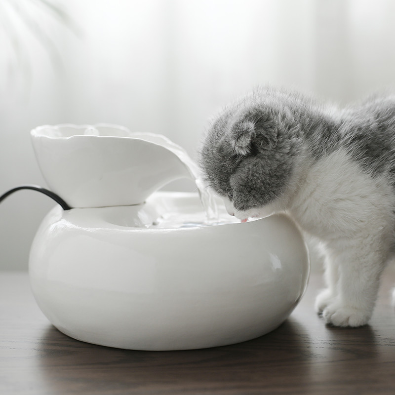 猫咪饮水机宠物智能饮水机自动循环流动流水喂水T器喷泉活水盆立