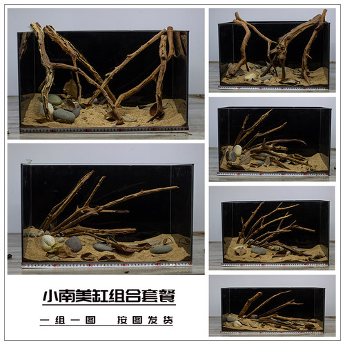 小鱼缸造景套餐南美缸组合枝条鱼缸布景木头原生缸小型鱼缸枯树枝