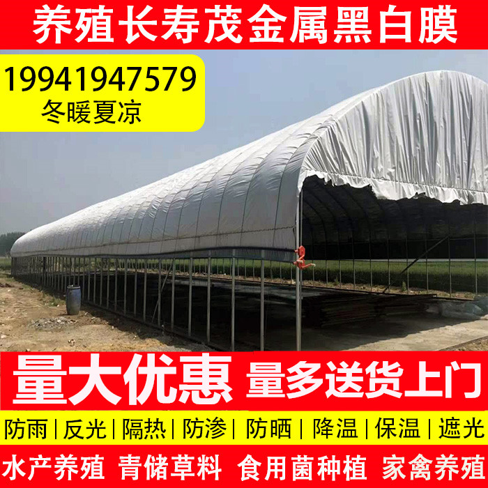 黑白膜鱼塘防渗膜大棚降温反光食用菌养殖养鸡隔热遮阴阻燃绿白膜