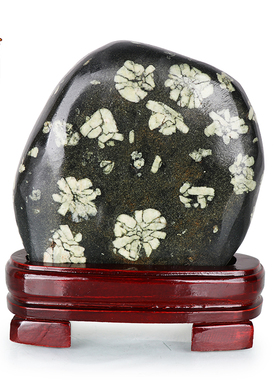 天御阁牡丹石原石摆件天然奇石观赏石头客厅办公室装饰品实木底座