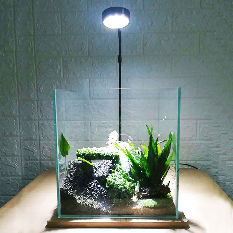 多肉灯全光谱爆藻生长p灯盆栽绿植物补光微景观鱼缸仿太阳水族水