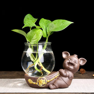 创意绿萝水培植物透明玻璃花瓶家用客厅装 饰摆件水养插花陶瓷器皿