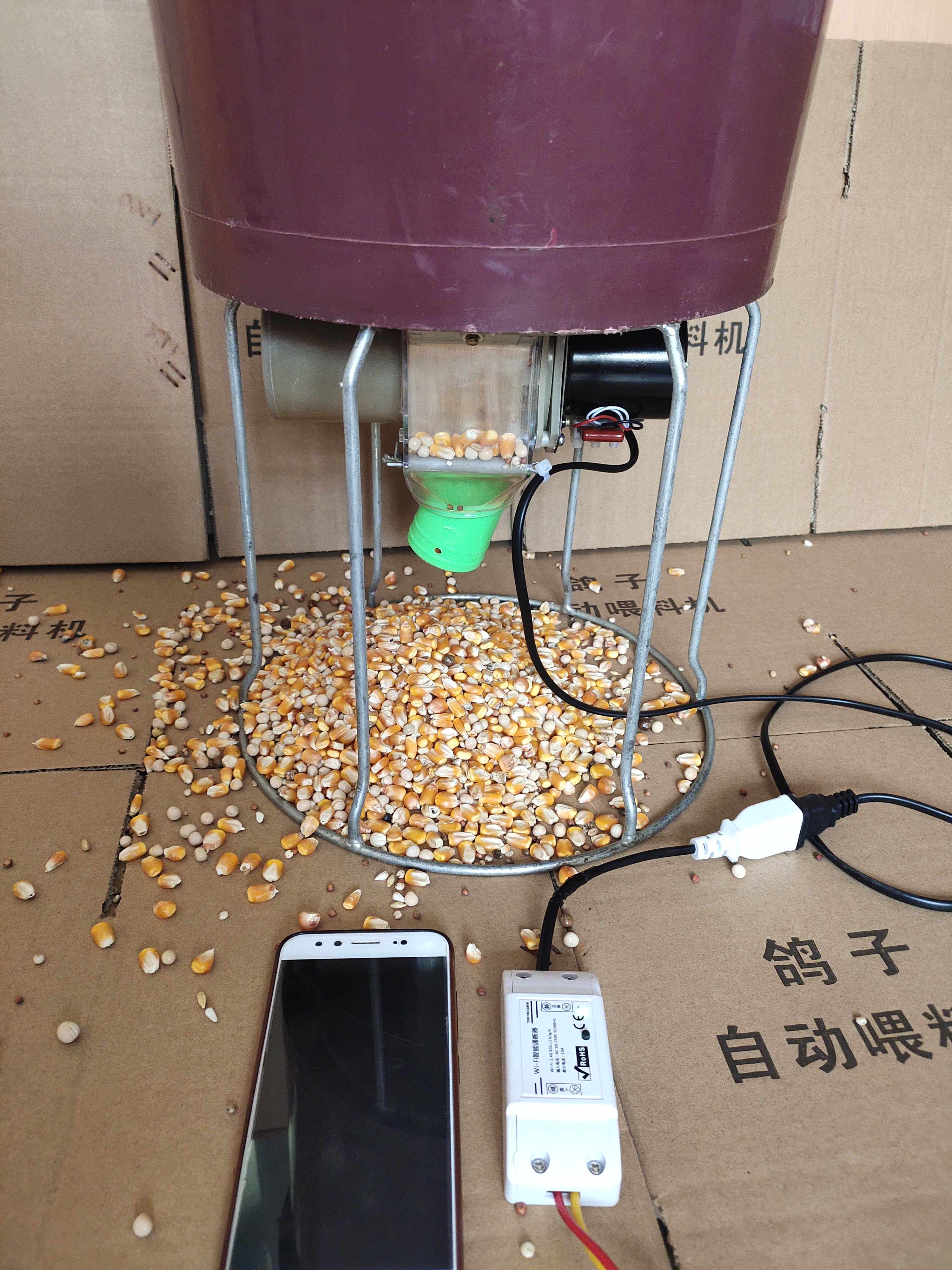 远程鸽子自动喂料机喂食器信鸽观赏鸽鸽子用品用具