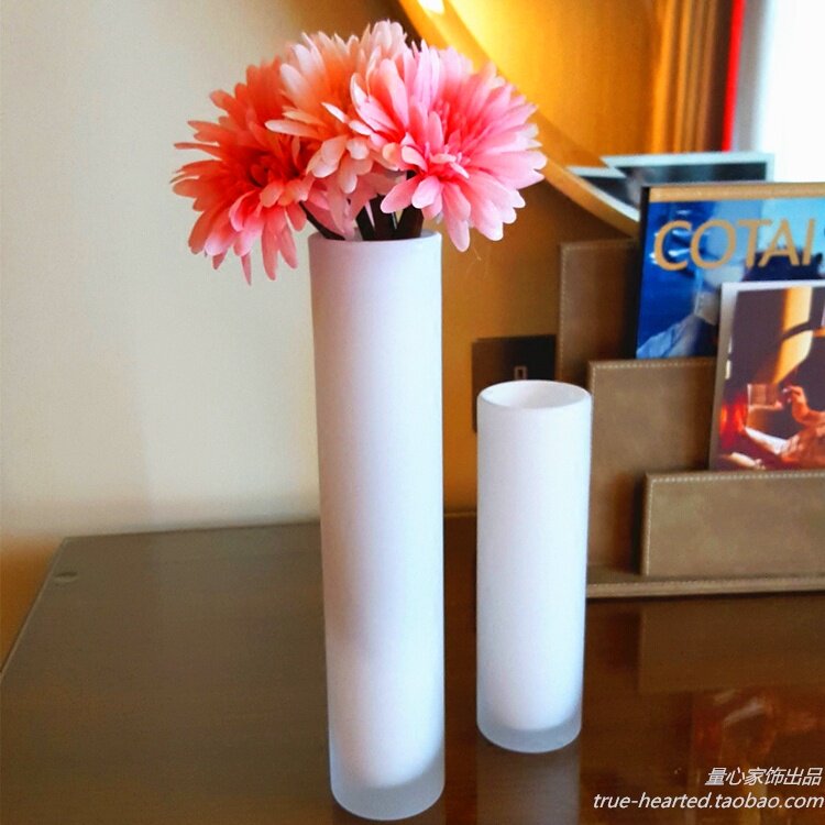 白色玻璃瓶现代家居艺术直筒器水培客厅插樽软装饰