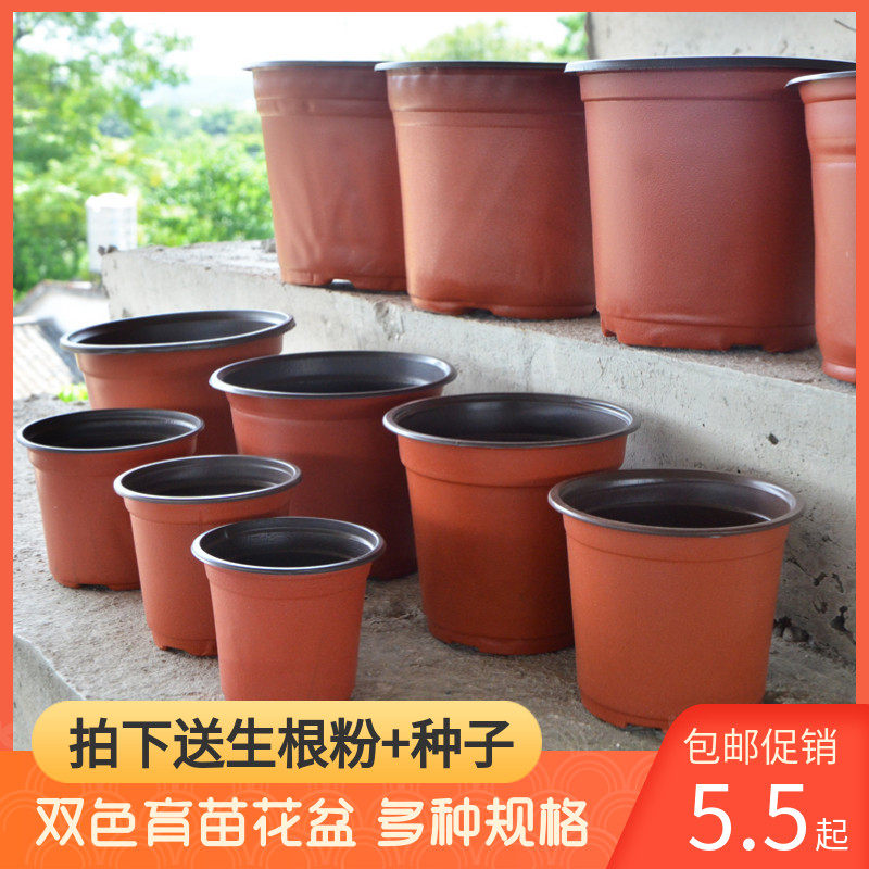 双色杯花盆多肉种植育苗营养钵塑料盆一次性摔不坏加厚园艺绿植盆,鲜花速递/花卉仿真/绿植园艺,育苗盘/营养钵,淘宝优惠券,粉丝福利购,淘宝优惠卷
